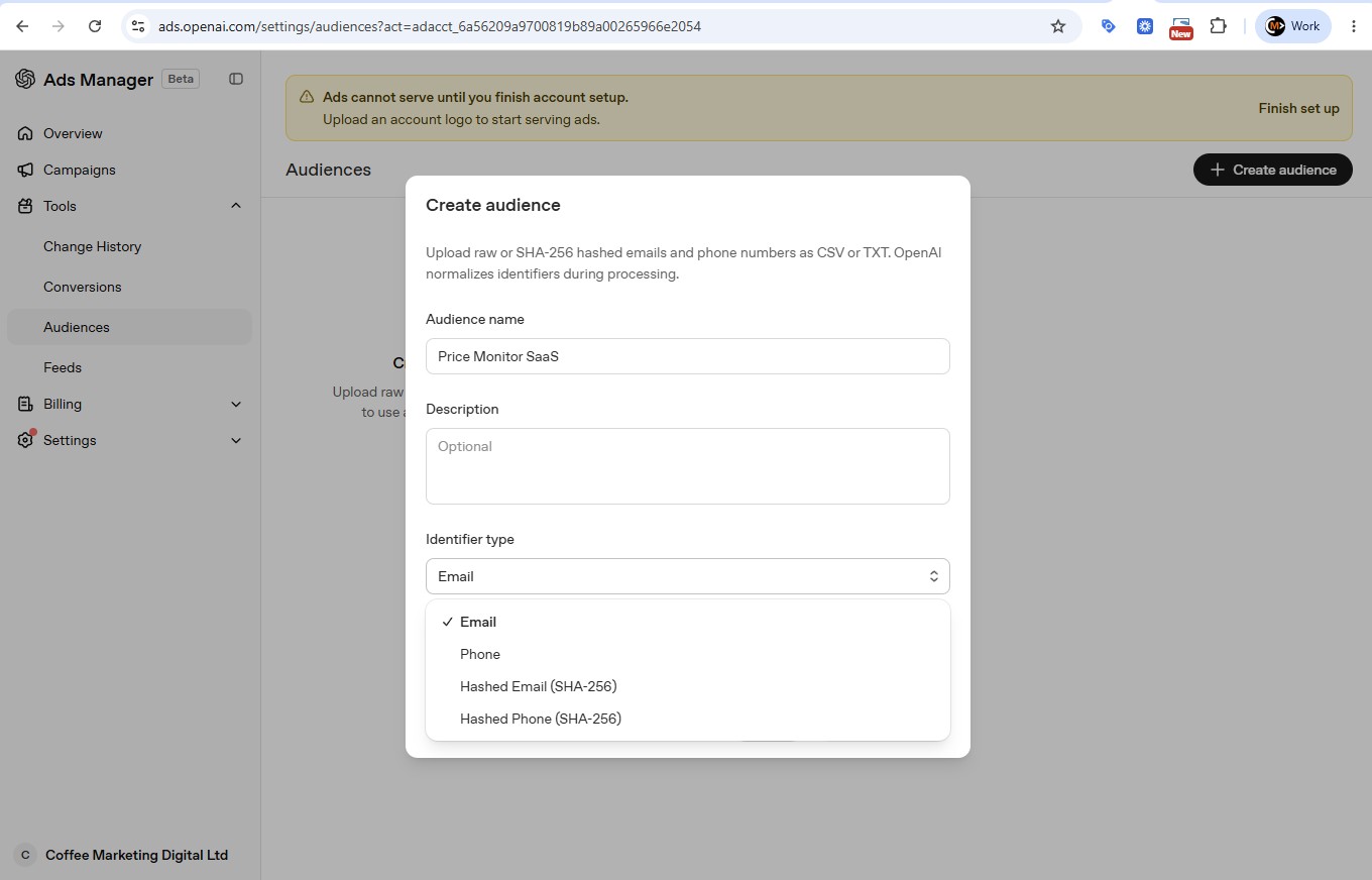 The Create Audience screen showing you can upload raw or SHA-256 hashed email and phone lists as a CSV or TXT file